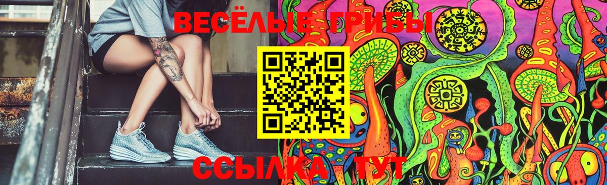 Чистополь  Галлюциногенные грибы Psilocybine cubensis  Псилоцибиновые грибы мицелий  Вход с VPN 